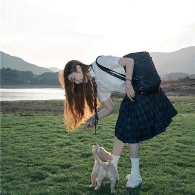 脑水蛭